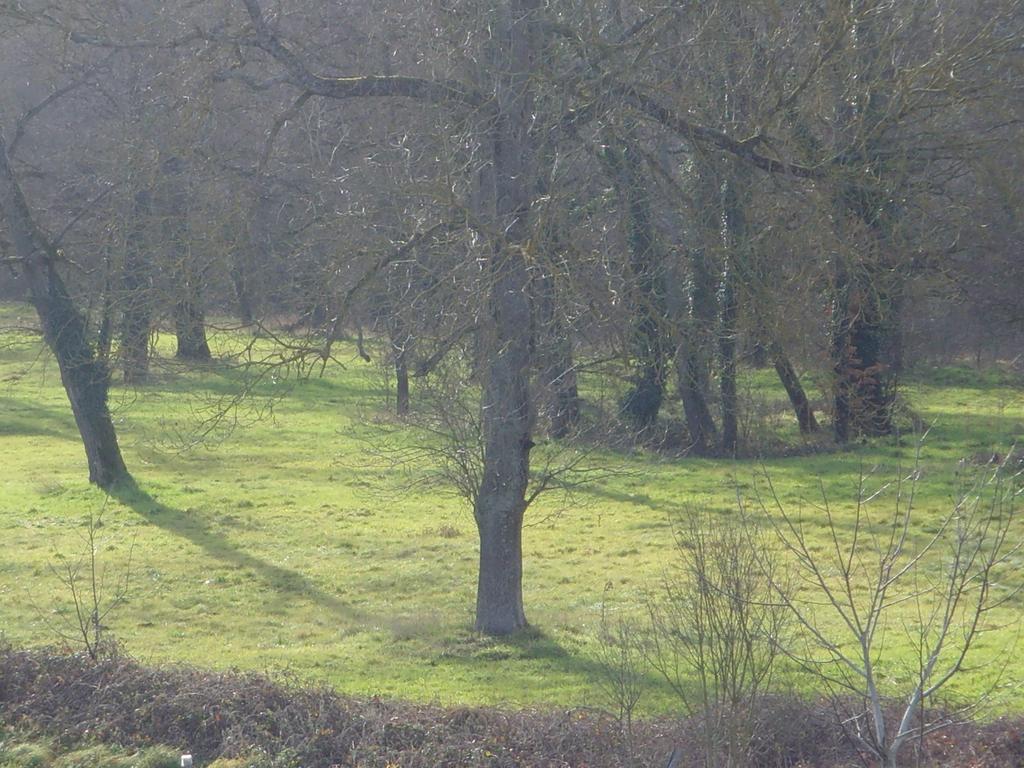 Le Bravard Jumeaux Exteriér fotografie